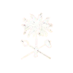 Theta Tau Zeta Delta